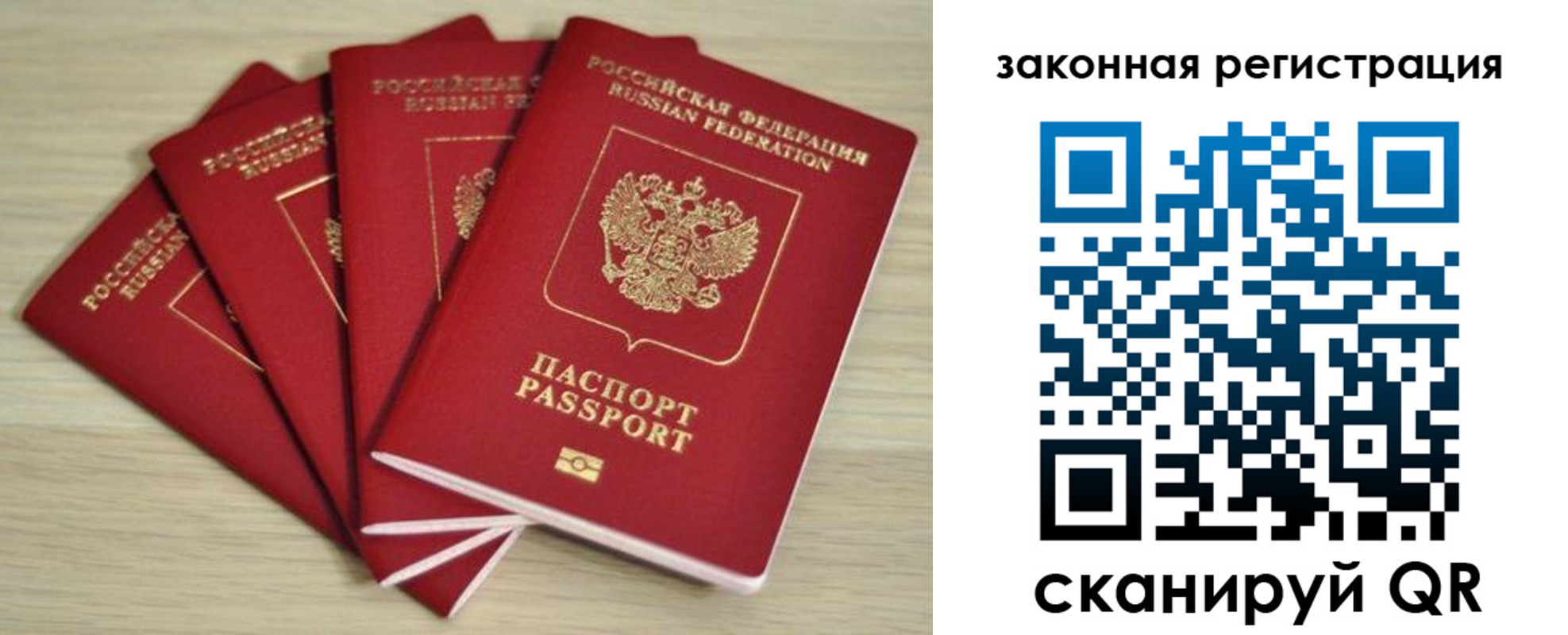 временная регистрация адрес в Курской области